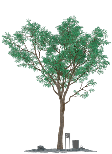 rendercam_2_0034.png